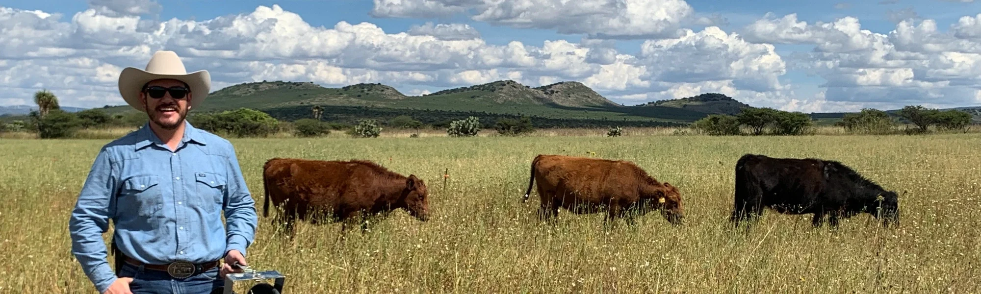 LUIS FRANCISCO VALLES CASTAÑEDA